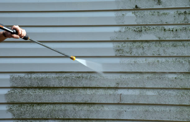 Best Roof Pressure Washing  in Laurens, SC